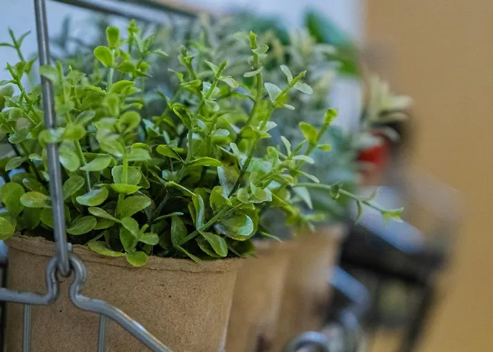 Nomad Living Apartment Thessaloniki